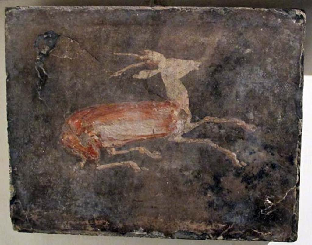 Villa dei Papiri, Herculaneum. Fresco of goat.
Now in Naples Archaeological Museum. Inventory number 9902.
